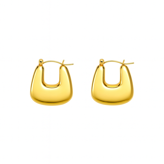 Horseshoe Stainless Steel Hoop Earrings